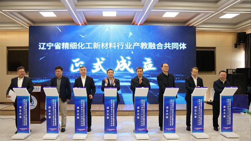精细化工产品细分市场调研：案例分析及启示