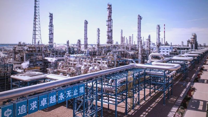 涂料用精细化工产品分类解析：型号参数揭秘